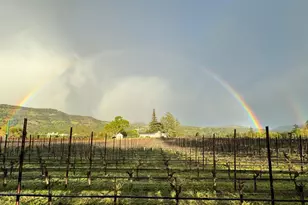 4094 E 3rd Ave, Napa, CA 94558 - Photo 29