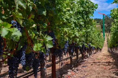 4094 E 3rd Avenue, Napa, CA 94558 - Photo 5