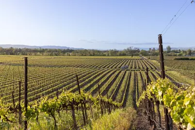 2875 Woolsey Road, Windsor, CA 95492 - Photo 43