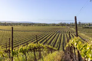 2875 Woolsey Rd, Windsor, CA 95492 - Photo 43