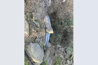 14515 Big Canyon Road, Middletown, CA 95461 - Photo 37