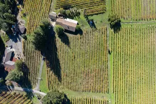 5555 Rio Vida Ln, Sebastopol, CA 95472 - Photo 15