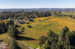 5555 Rio Vida Ln, Sebastopol, CA 95472 - Photo 13