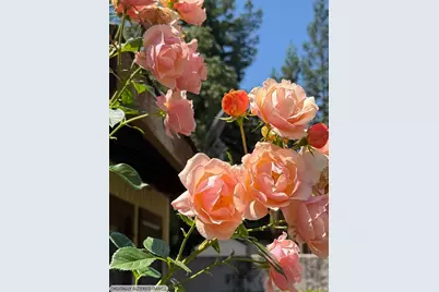 1927 Marsh Road, Santa Rosa, CA 95403 - Photo 1