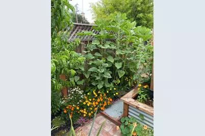 18023 Mulberry Avenue, Sonoma, CA 95476 - Photo 53