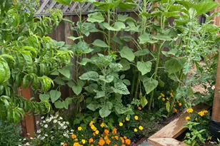 18023 Mulberry Ave, Sonoma, CA 95476 - Photo 53