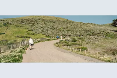 529 Alta Way, Mill Valley, CA 94941 - Photo 63