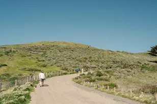 529 Alta Way, Mill Valley, CA 94941 - Photo 63