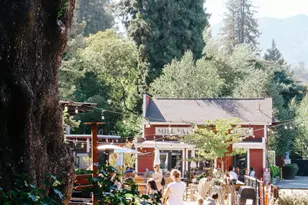 529 Alta Way, Mill Valley, CA 94941 - Photo 65