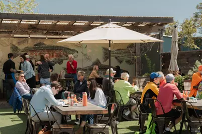 529 Alta Way, Mill Valley, CA 94941 - Photo 59