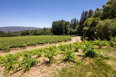 7596 Sonoma Mountain Road, Glen Ellen, CA 95442 - Photo 45