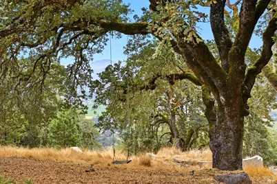 31000 Pine Mountain Road, Cloverdale, CA 95425 - Photo 59