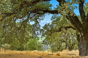 31000 Pine Mountain Rd, Cloverdale, CA 95425 - Photo 37