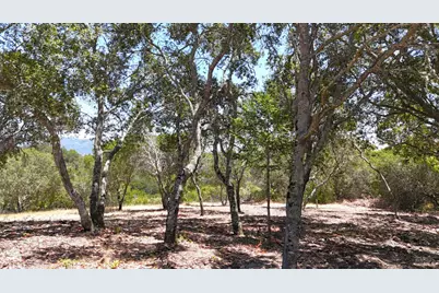 6555 Enterprise Road, Glen Ellen, CA 95442 - Photo 7