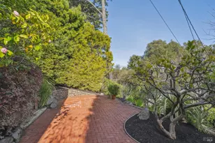 311 Edgewood Ave, Mill Valley, CA 94941 - Photo 35