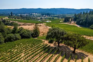 2151 Guntly Rd, Philo, CA 95466 - Photo 41