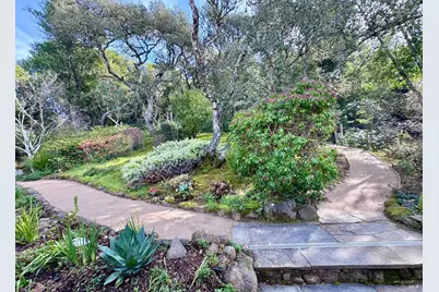 316 Rydal Avenue, Mill Valley, CA 94941 - Photo 37