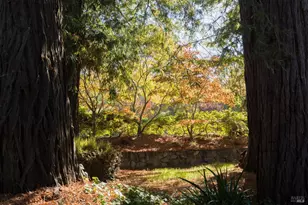 178 Palm Ave, San Rafael, CA 94901 - Photo 35