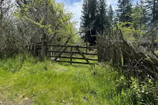 23501 Branscomb Rd, Westport, CA 95488 - Photo 1