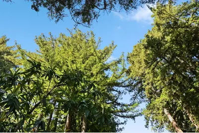 10293 Field Lane, Forestville, CA 95436 - Photo 49