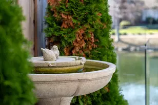 179 Oyster Pond Rd, Alameda, CA 94502 - Photo 87