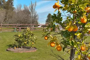 4782 Hall Rd, Santa Rosa, CA 95401 - Photo 9