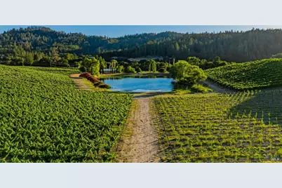 8320 Franz Valley Road, Calistoga, CA 94515 - Photo 73