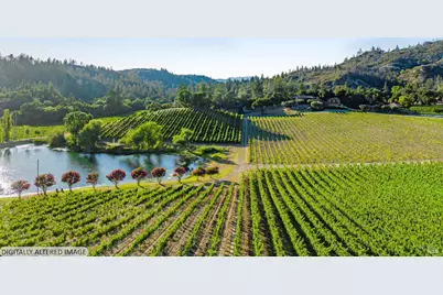 8320 Franz Valley Road, Calistoga, CA 94515 - Photo 55