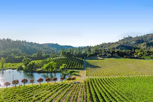 8320 Franz Valley Rd, Calistoga, CA 94515 - Photo 55