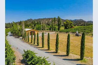8320 Franz Valley Road, Calistoga, CA 94515 - Photo 61