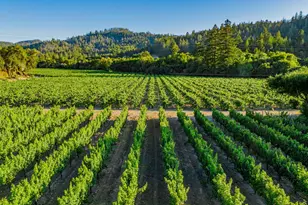 8320 Franz Valley Rd, Calistoga, CA 94515 - Photo 65