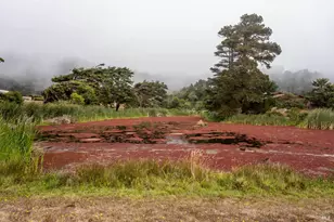 15741 Forest View Rd, Manchester, CA 95459 - Photo 27