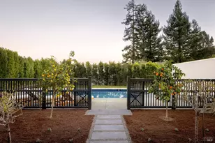 469 Molino Ave, Mill Valley, CA 94941 - Photo 47