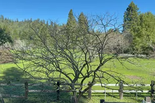 16160 Laughlin Rd, Guerneville, CA 95446 - Photo 33