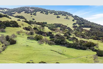 51 San Domingo Way, Novato, CA 94945 - Photo 65