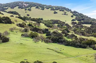 51 San Domingo Way, Novato, CA 94945 - Photo 65