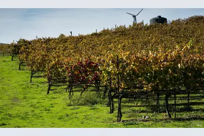 200 Road To Ranches, Nicasio, CA 94946 - Photo 25