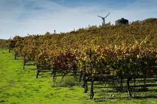 200 Rd To Ranches, Nicasio, CA 94946 - Photo 25