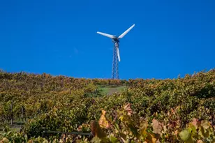 200 Rd To Ranches, Nicasio, CA 94946 - Photo 27