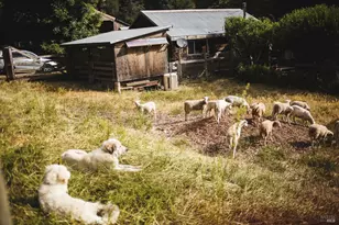 210 Rd To Ranches, Nicasio, CA 94946 - Photo 3