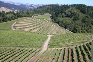 210 Rd To Ranches, Nicasio, CA 94946 - Photo 13