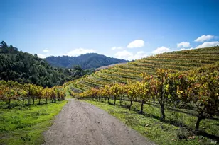 210 Rd To Ranches, Nicasio, CA 94946 - Photo 15