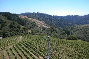 210 Rd To Ranches, Nicasio, CA 94946 - Photo 19