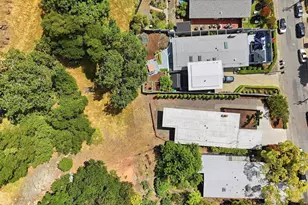 29 Windsor Ave, San Rafael, CA 94901 - Photo 45