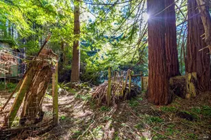 44720 Jack Peters Creek Rd, Mendocino, CA 95460 - Photo 7