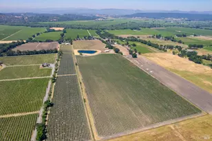 5744 Hwy 128, Geyserville, CA 95441 - Photo 3