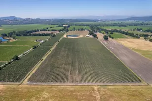 5744 Hwy 128, Geyserville, CA 95441 - Photo 13