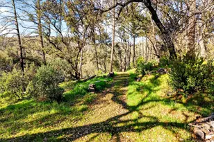 11641 Hwy 128 Hwy, Healdsburg, CA 95448 - Photo 19