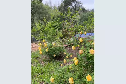 11641 Hwy 128, Healdsburg, CA 95448 - Photo 47