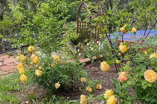 11641 Hwy 128, Healdsburg, CA 95448 - Photo 47